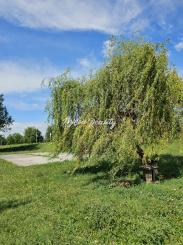 Prenájom 3 izbového bytu Trenčín, Sihoť-Švermova+PARKOVISKO