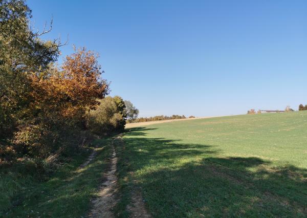 Pozemok v pokojnom prostredí 1401m2 - Veľké Hoste na predaj