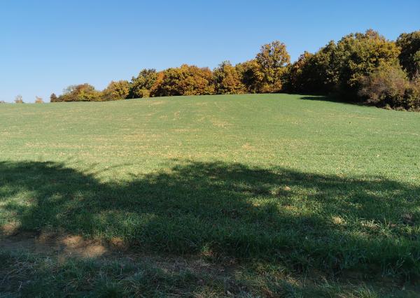 Pozemok v pokojnom prostredí 1401m2 - Veľké Hoste na predaj