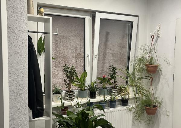 Rodinný dom Jacovce - znížená cena - predaj