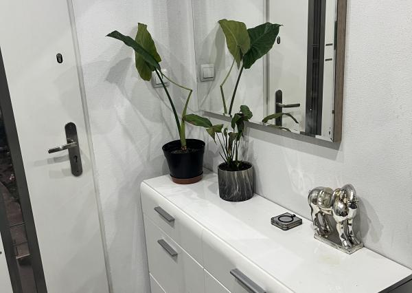 Rodinný dom Jacovce - znížená cena - predaj