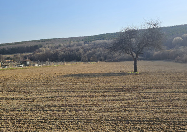 Jedinečný stavebný pozemok - 9899m2 pod Považským Inovcom
