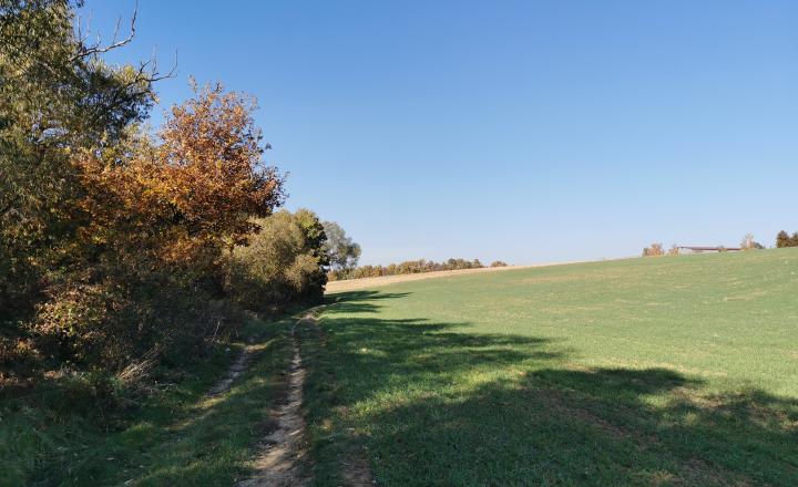 Pozemok v pokojnom prostredí 1401m2 - Veľké Hoste na predaj - fotografia 2