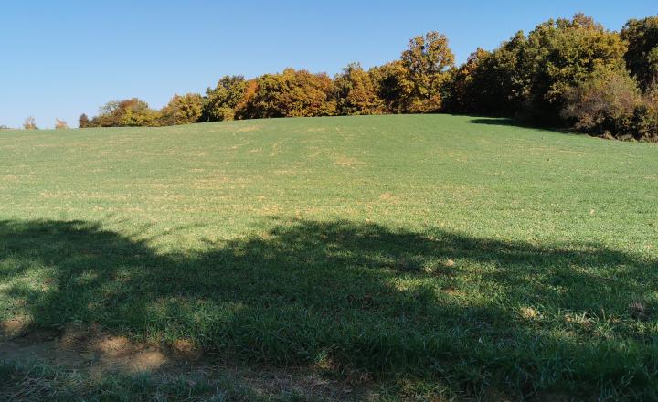 Pozemok v pokojnom prostredí 1401m2 - Veľké Hoste na predaj - fotografia 3