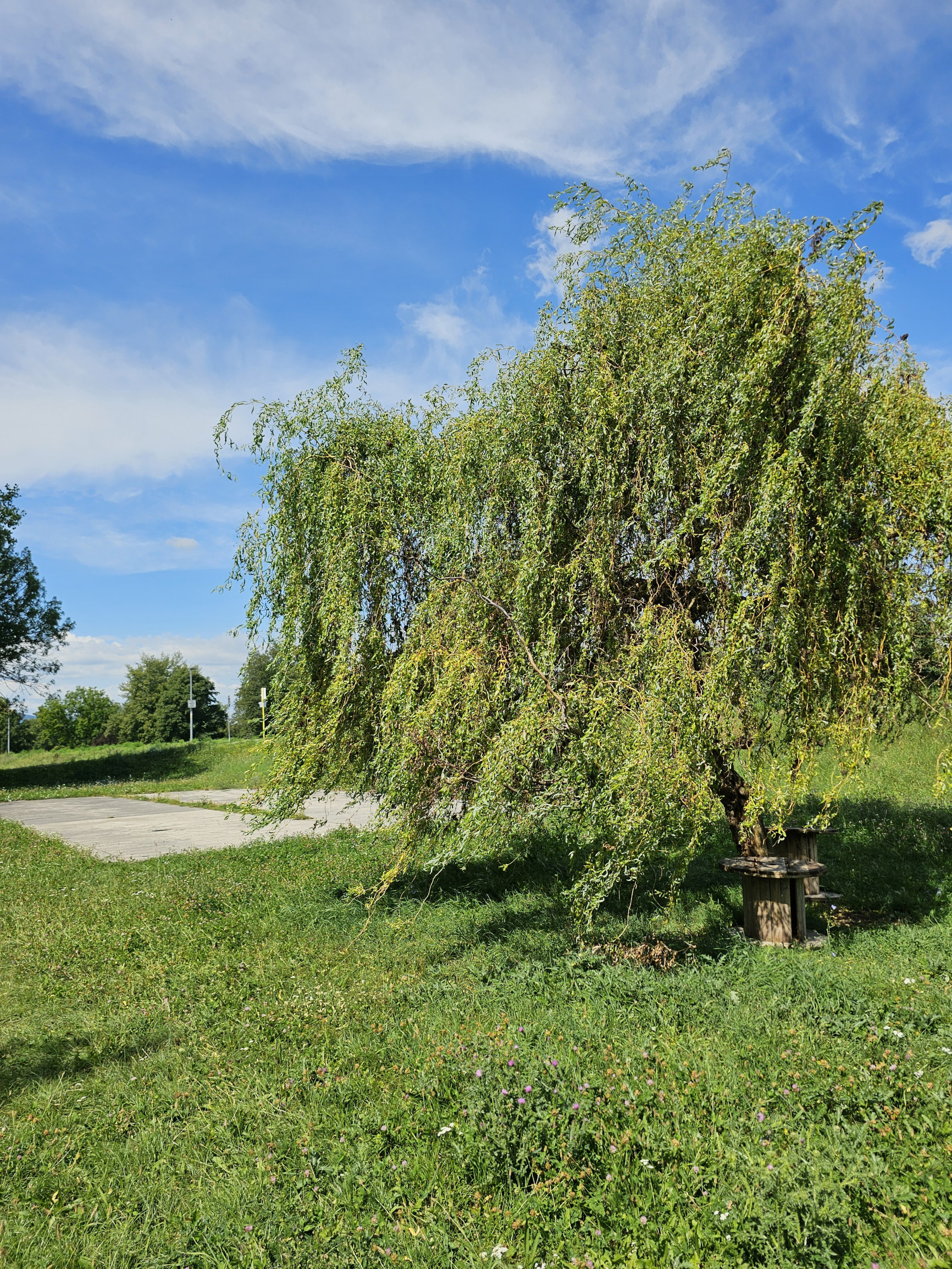3i byt Trenčín - súkr.PARKOVISKO, SIHOŤ